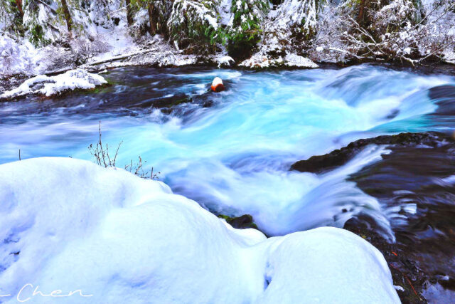 McKenzie River Waterfall Loop Trail